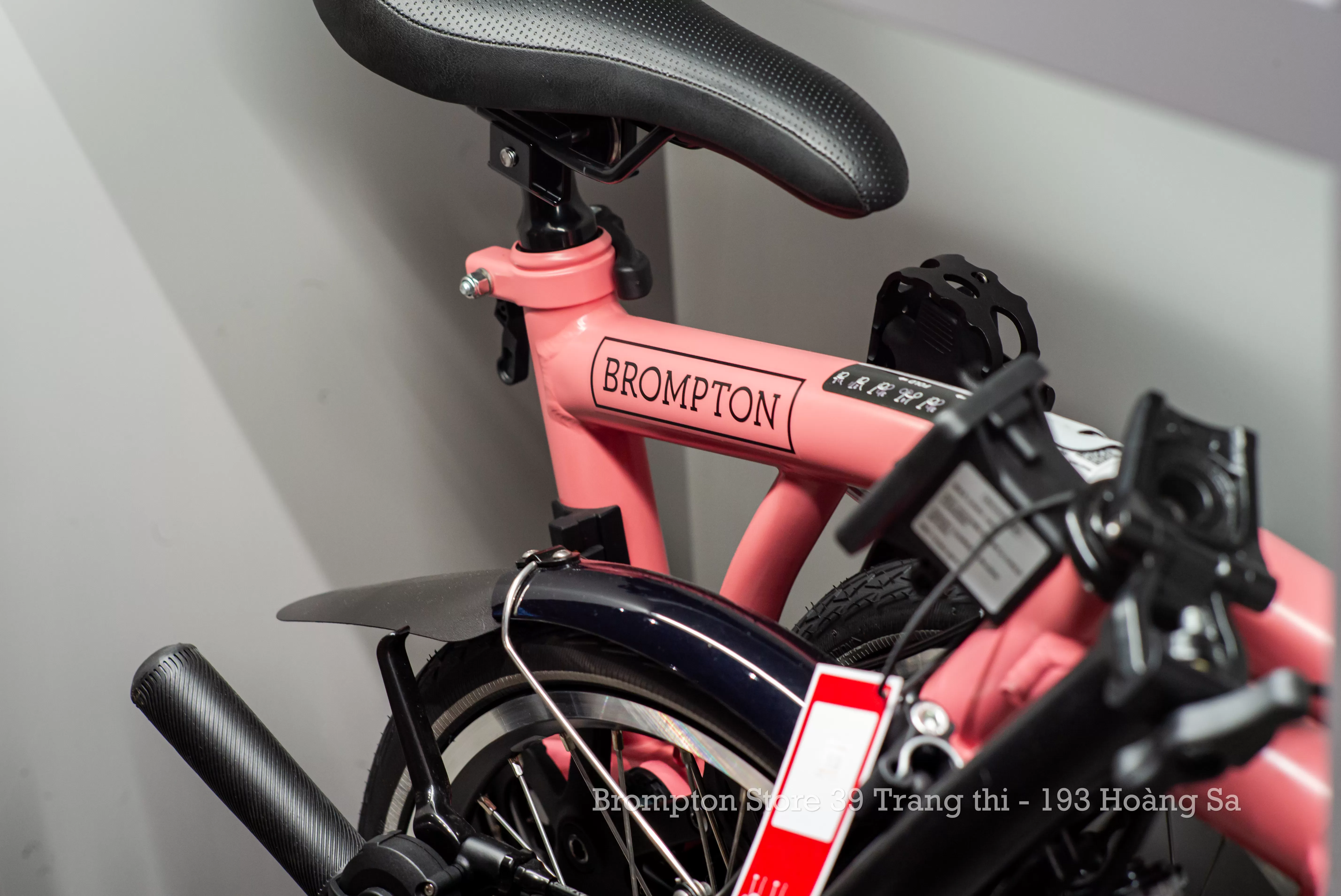 C Line Explore - 4 Speed Flamingo Pink