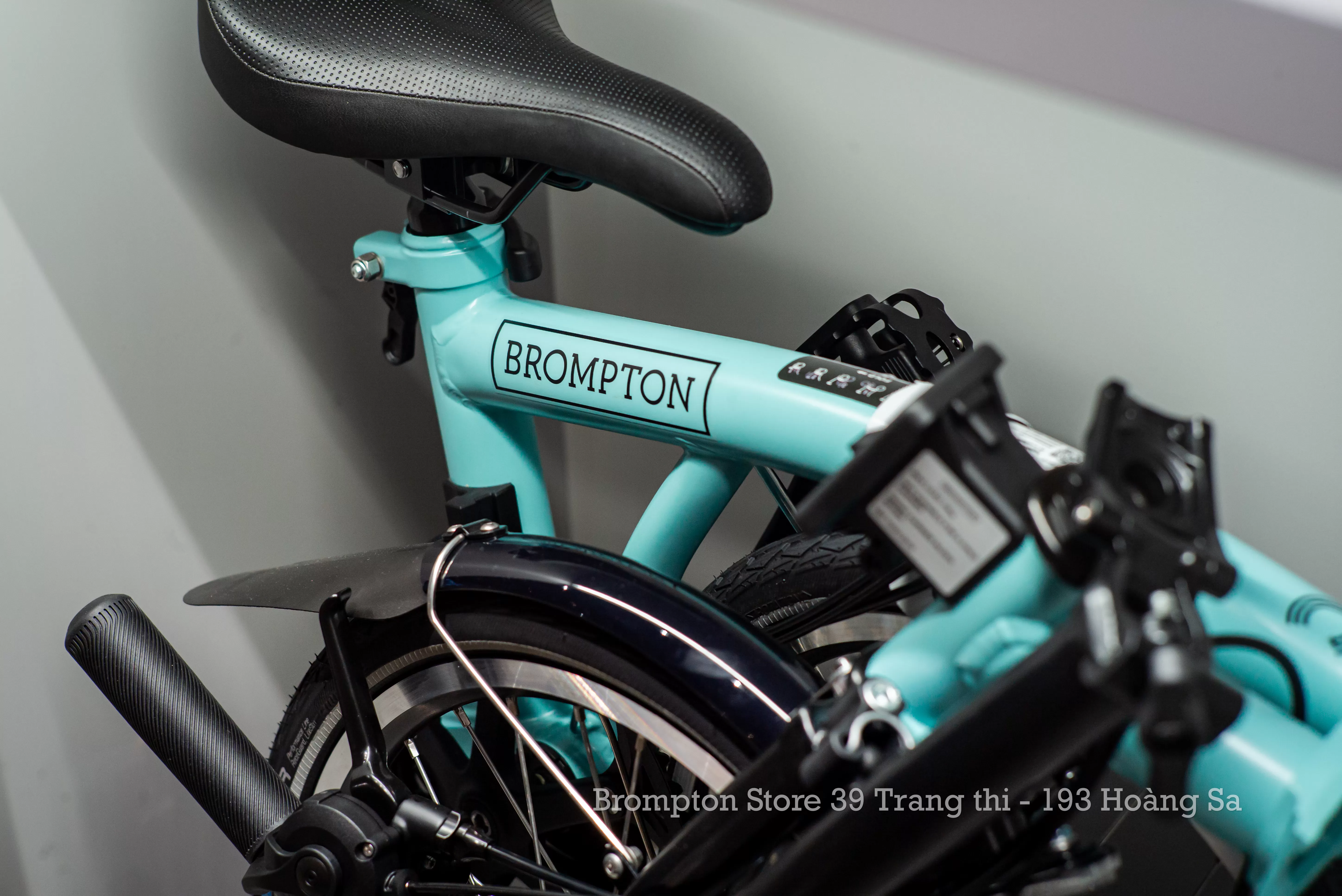 C Line Explore - 4 Speed Turkish Green