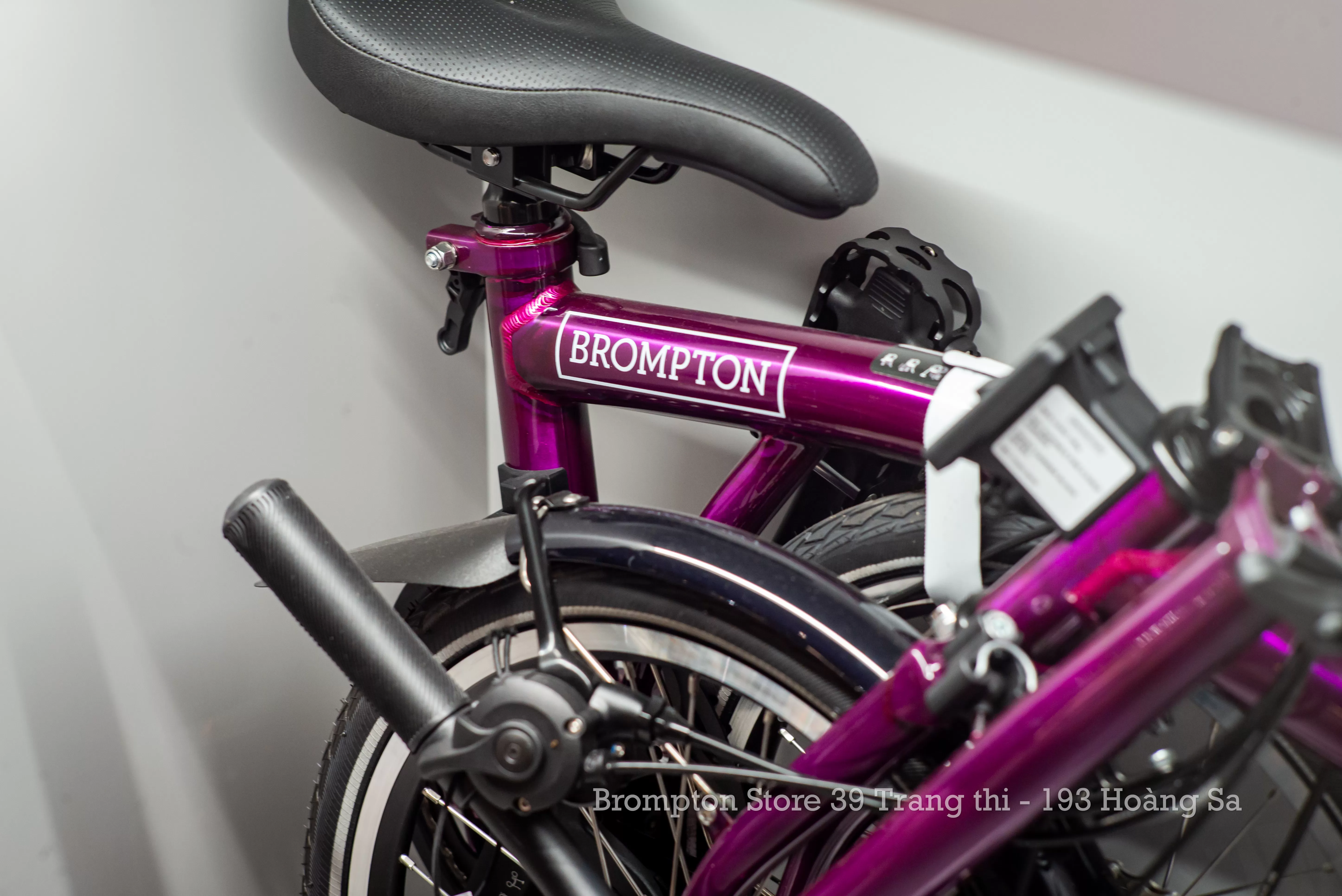 C Line Explore - 4 Speed Amethyst Lacquer