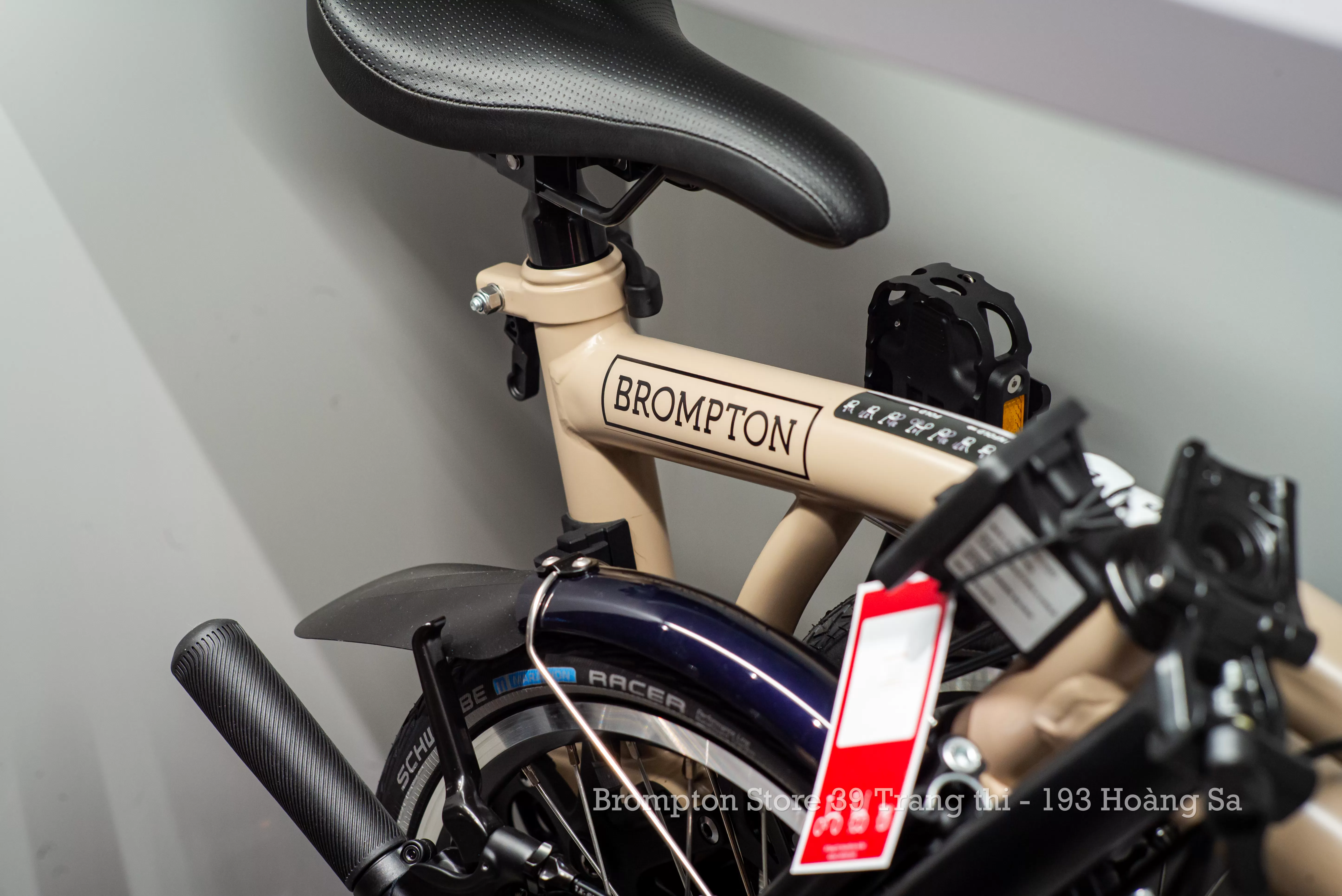 C Line Explore - 4 Speed Dune Sand